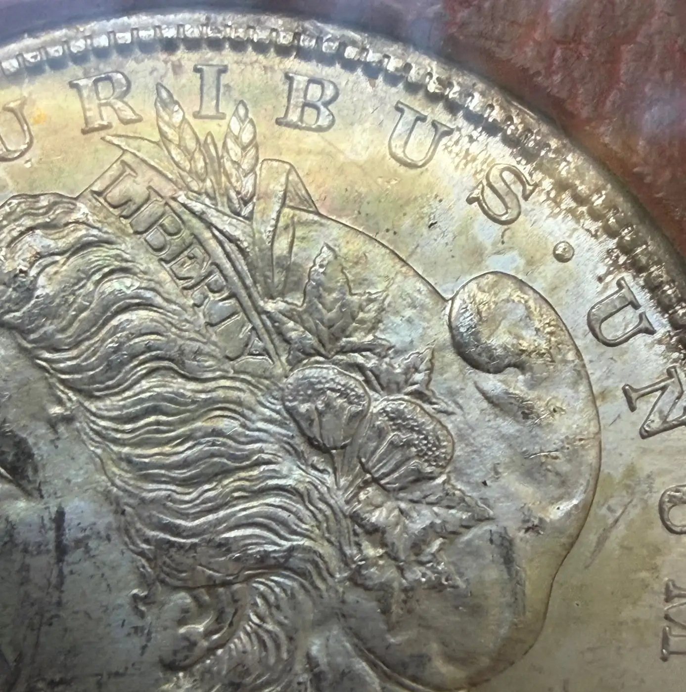 1887-S-Morgan---Grade-It!