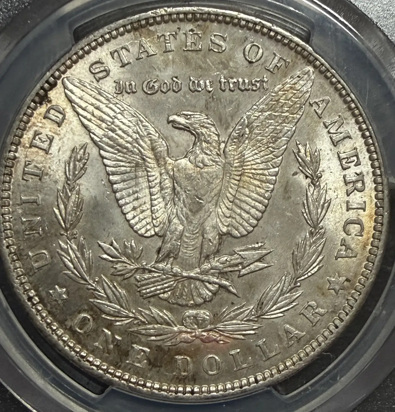 1891-P-Morgan-You-Vs-PCGS