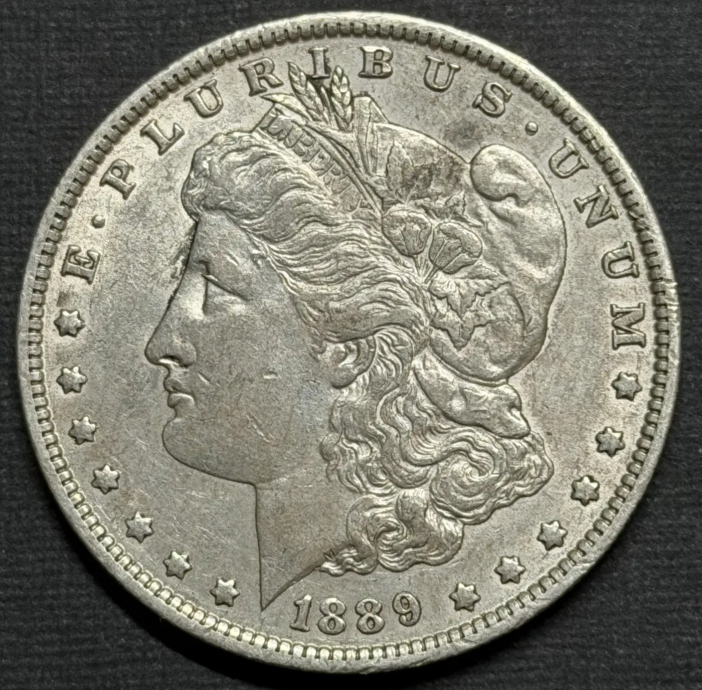 1889-O-Morgan---Grade-It!