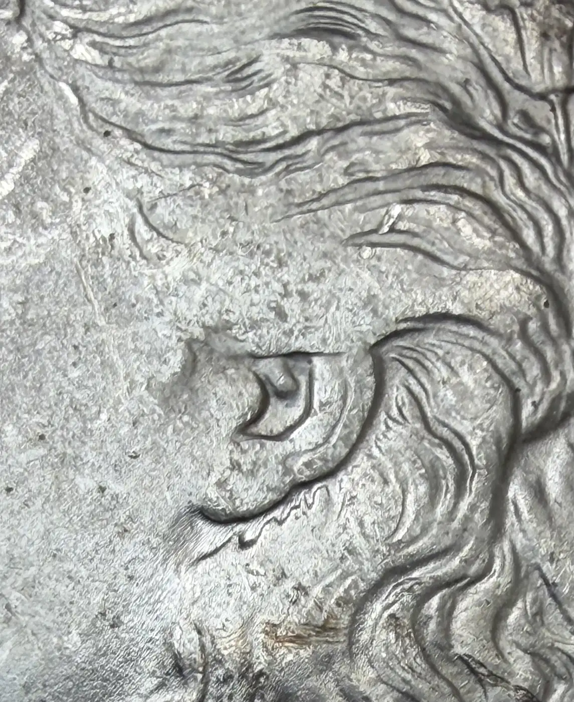 1889-Morgan-With-A-Mushy-Head---Grade-It!