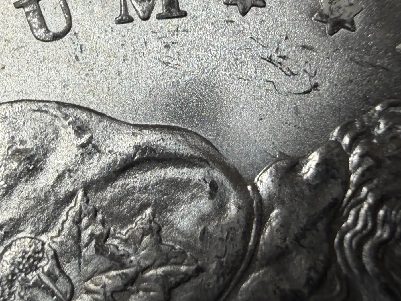 1889-Morgan#4-Grade-It!