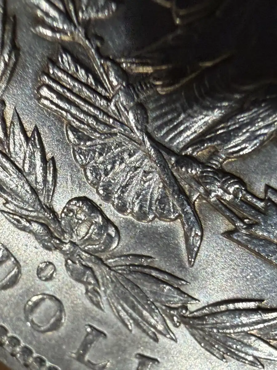 1883-O-Morgan-VAM36A---Grade-It!