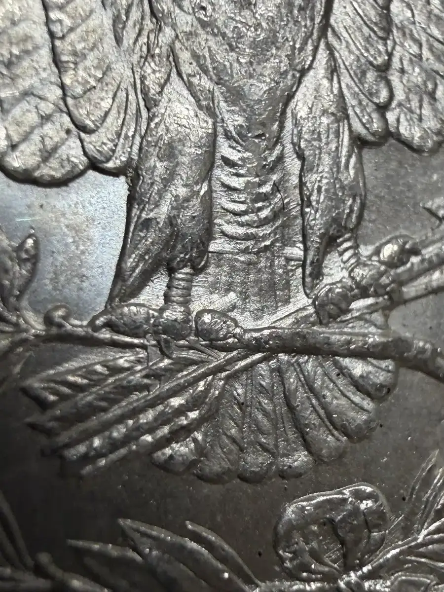 1888-S-Morgan-VAM-13-Monster-Gouged-Eagle