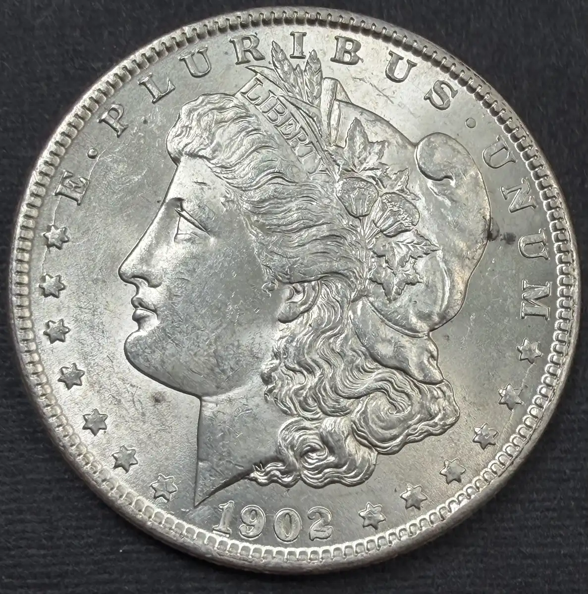 1902-O-Morgan-Filled-2