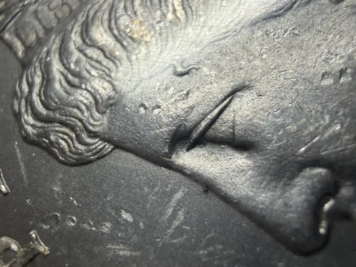 1878-Morgan-8TF-VAM-14.1A