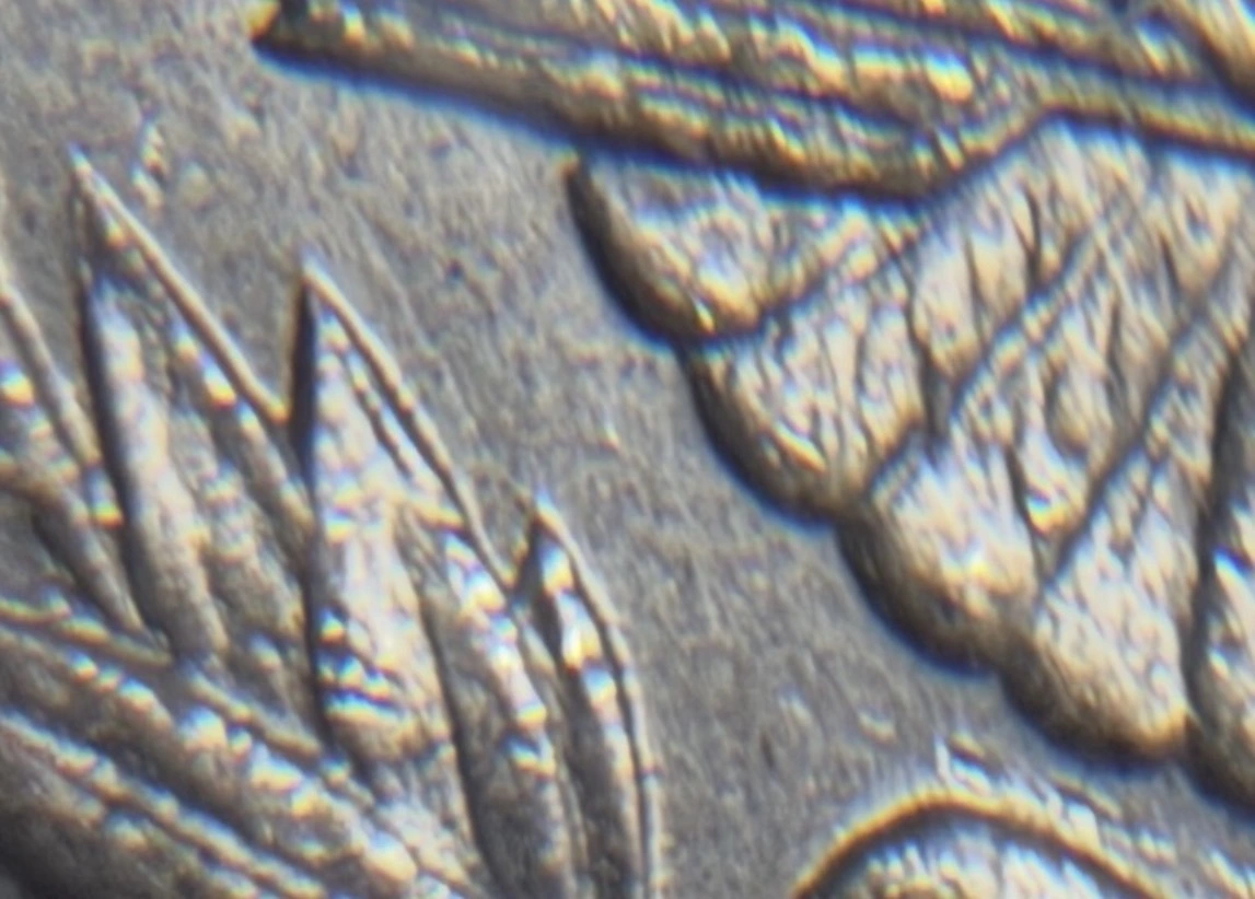 1887-Morgan-Possible-EDS-1B?
