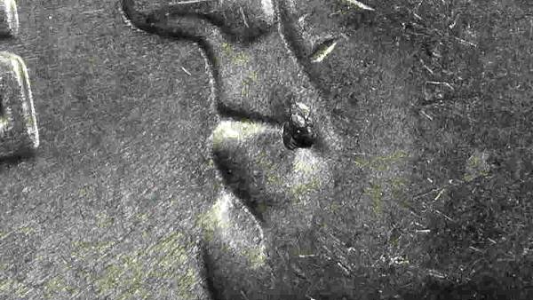 2018-P-Dime-CRDR-003