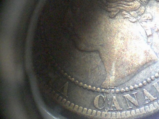 1893-Vicky-Large-Cent