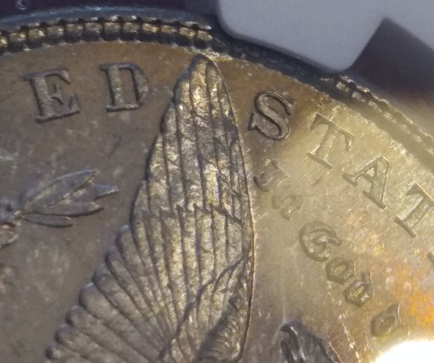 Spalling-On-A-Brand-New-Reverse-Die?-1879-S-DMPL-Under-All-That-Toning
