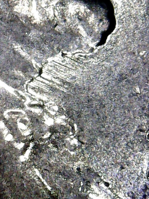 2017-P-Lincoln-Cent-Feeder-Finger-Error