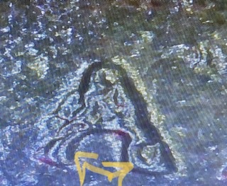 2008-Arizona-Quarter-With-Multiple-Die-Events-&-DDR