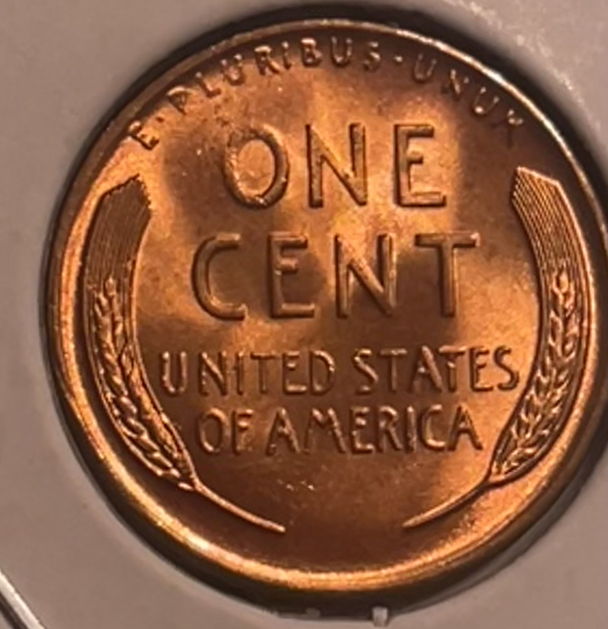 1946-Wheat-Penny--What-Would-You-Grade?