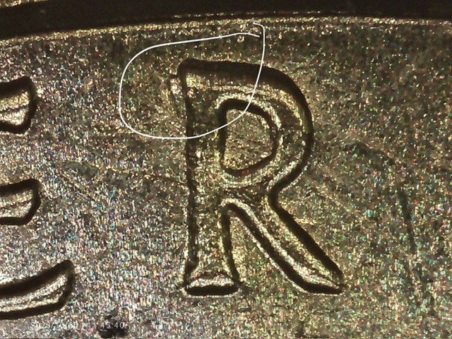 2020-P-Salt-Bay-Quarter-What-Error-Is-This