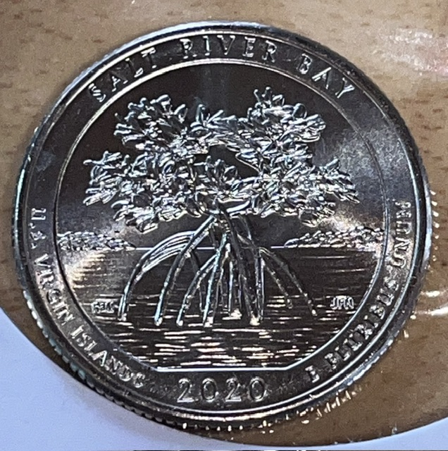 2020-P-Salt-Bay-Quarter-What-Error-Is-This