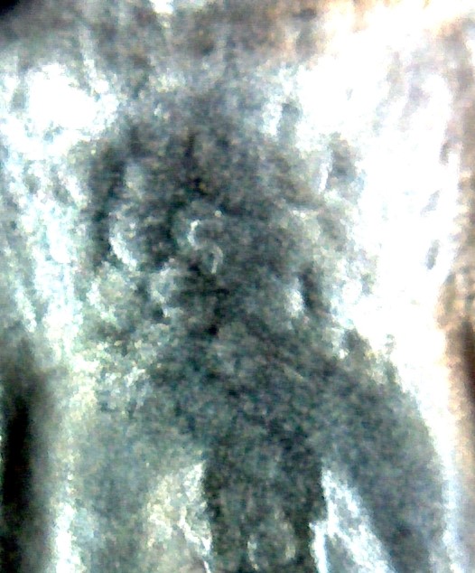1952-Proof-Washington-Quarter-Superbird-Reengraved-Right-Wing-Feathers