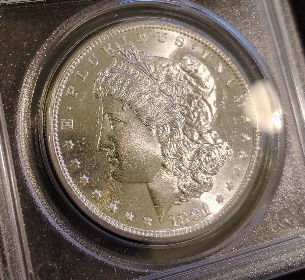 1881-S-Morgan-OGH---Versus-PCGS