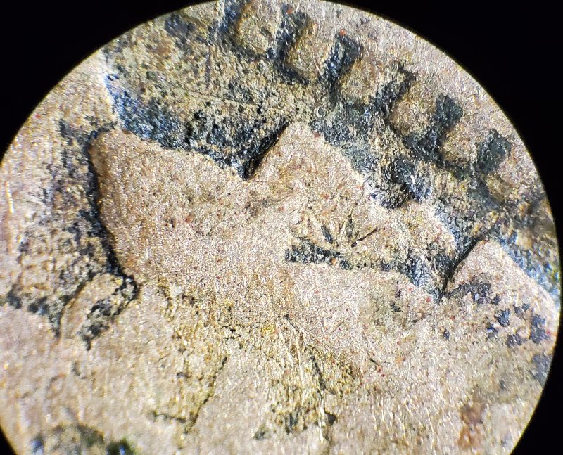 1858-Flying-Eagle-Reverse-Has-R-Interesting-Reverse
