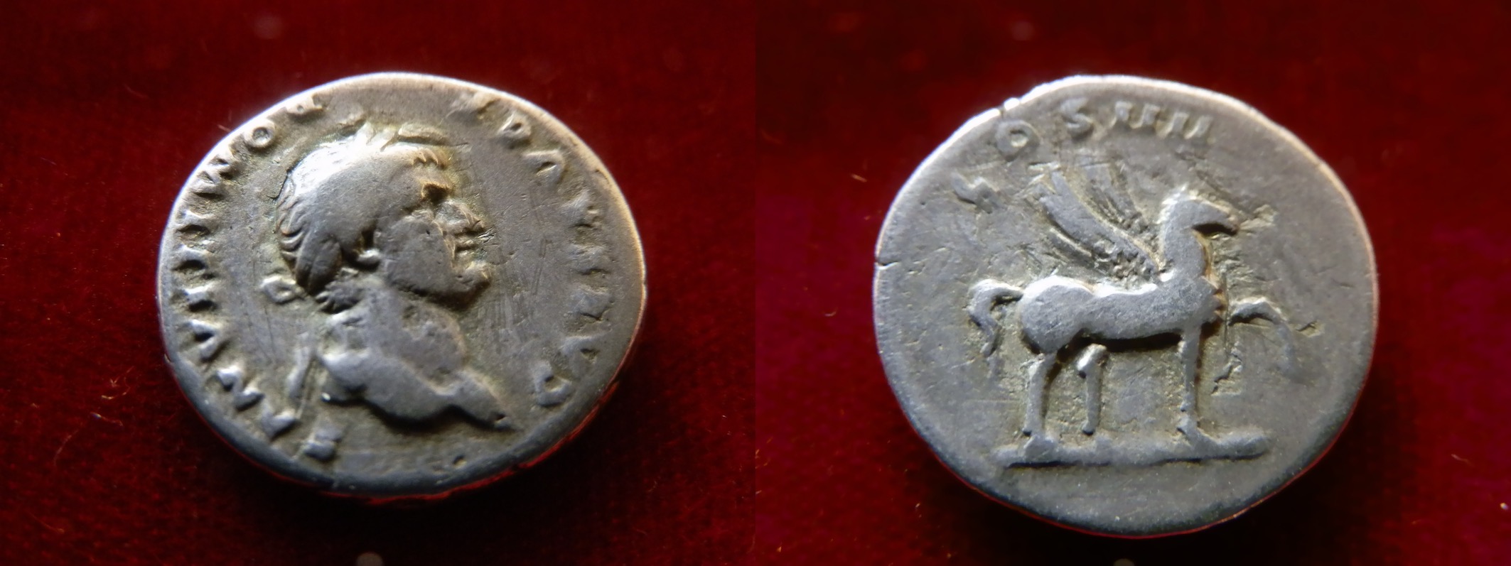 Rare-Domitian-Pegasus