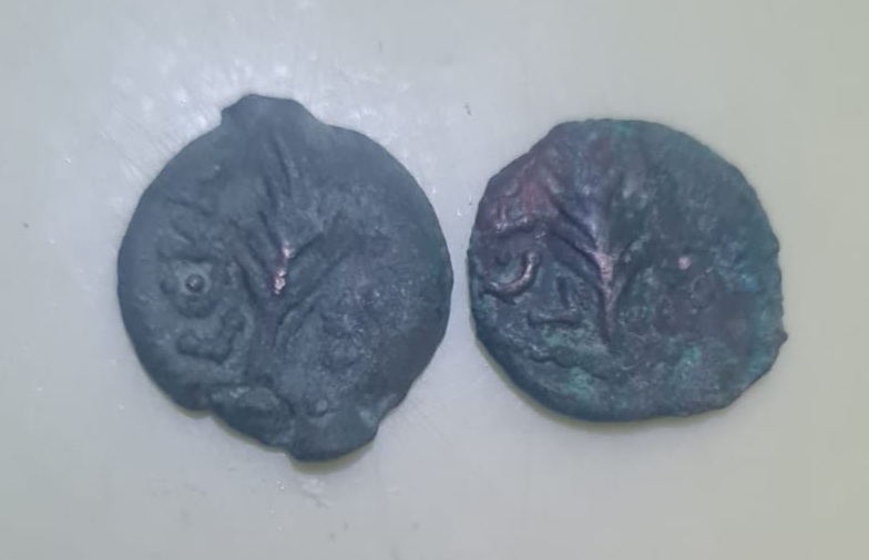 These-Maybe-A-Jewish-Ancient-Coins