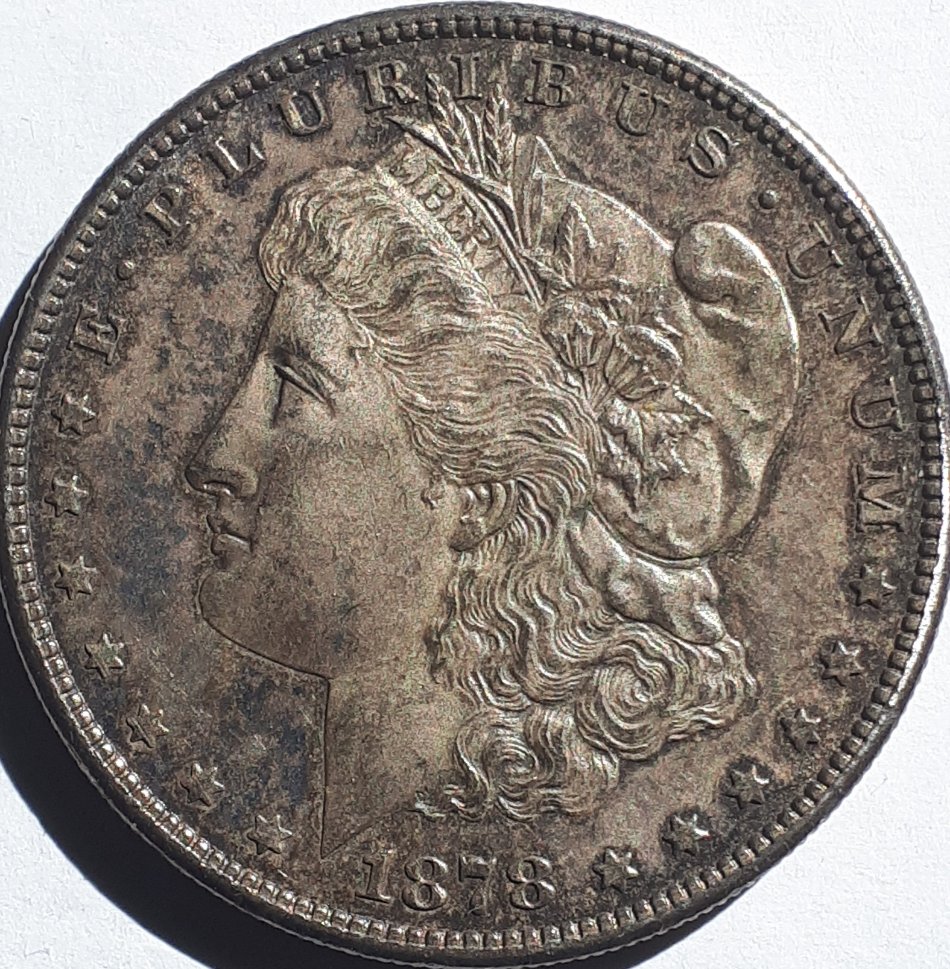 1878-S-Morgan:-Grade-And-Is-It-Proof?
