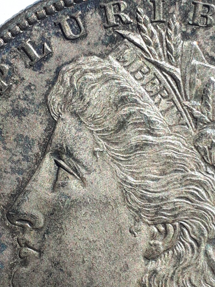 1878-S-Morgan:-Grade-And-Is-It-Proof?