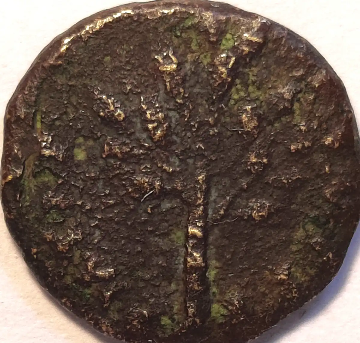Unknown-Small-Ancient-With-Possibly-A-Tree-On-One-Side.