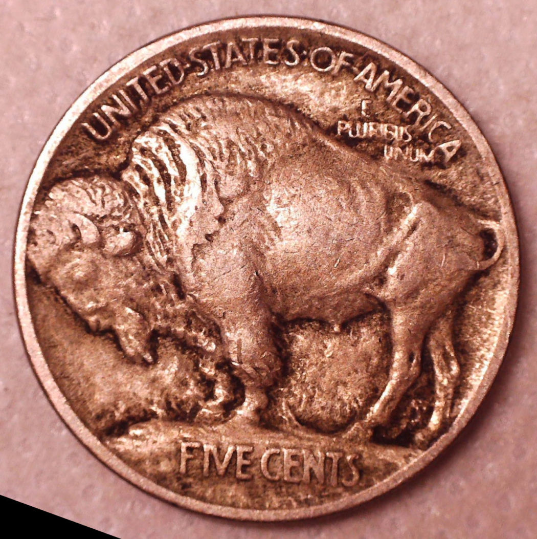 Pair-Of-Type-I-1913-Buffalos-For-Grading