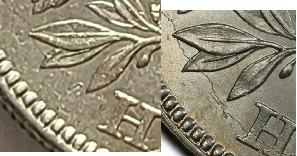 1877/6-Half-Dollar-Overdate
