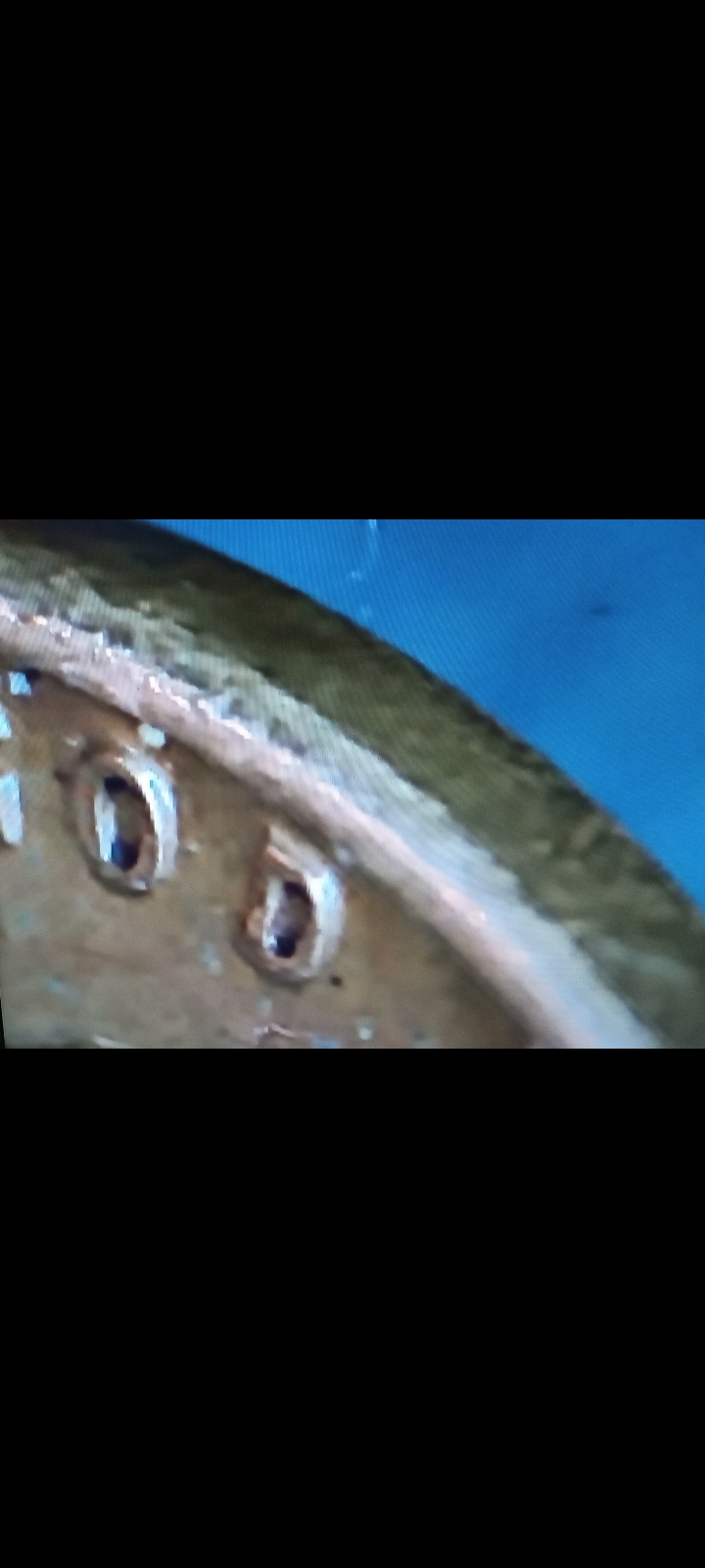 1958-Cent:-Am-I-Seeing-This-Wrong