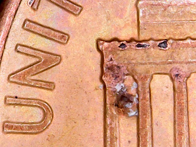 1988-D-LMC--Doubled-Earlobe