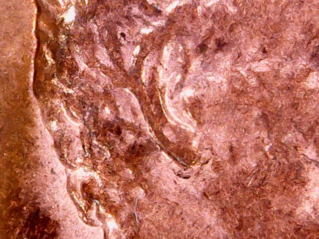 1988-D-LMC--Doubled-Earlobe