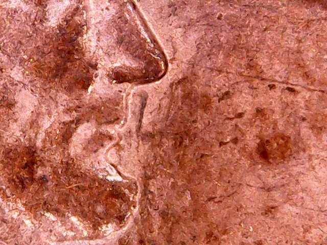 1988-D-LMC--Doubled-Earlobe