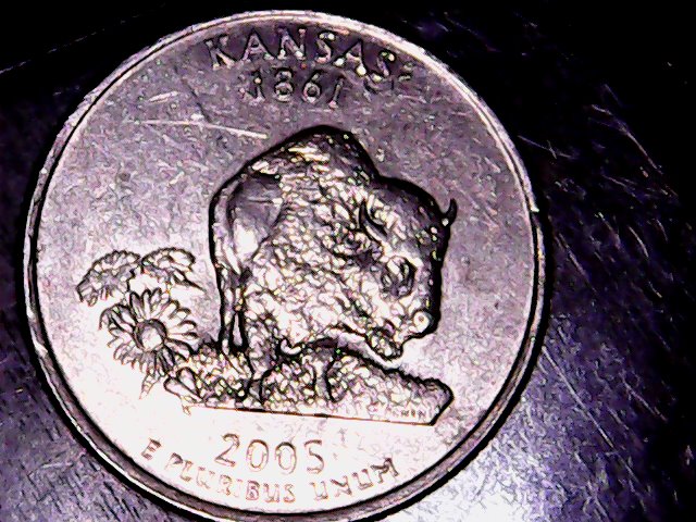 2005-Gw-Qtr-Speared-Buffalo-Die-Crack
