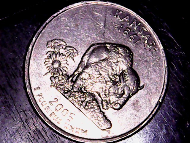 2005-Gw-Qtr-Speared-Buffalo-Die-Crack