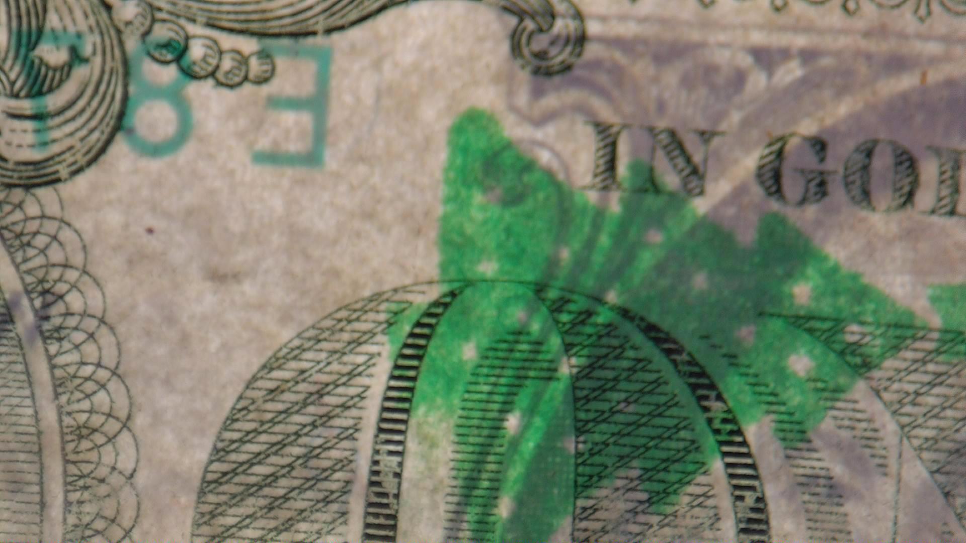 2013-Richmond-Virginia-Federal-Reserve-Dollar--Misprint-Christmas-Stamp