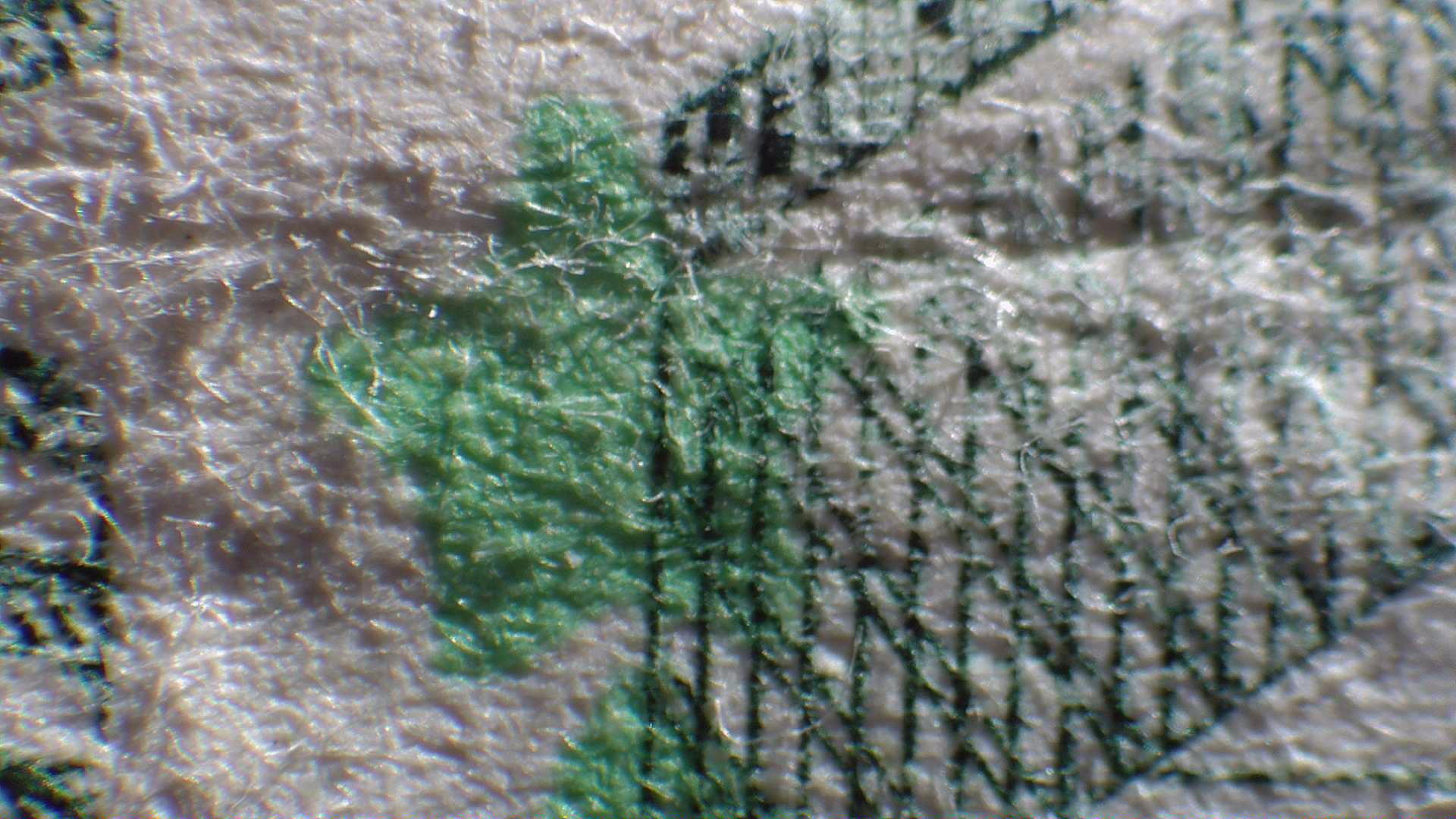 2013-Richmond-Virginia-Federal-Reserve-Dollar--Misprint-Christmas-Stamp