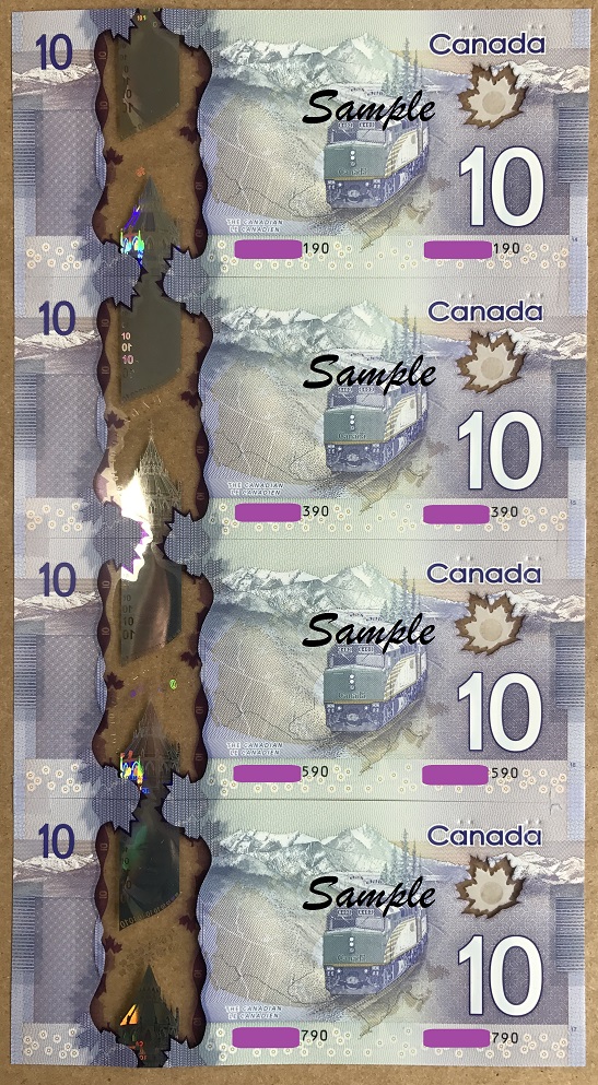 Ever-Wonder-What-Adjacent-Polymer-Notes-From-Same-Sheet-Look-Like------