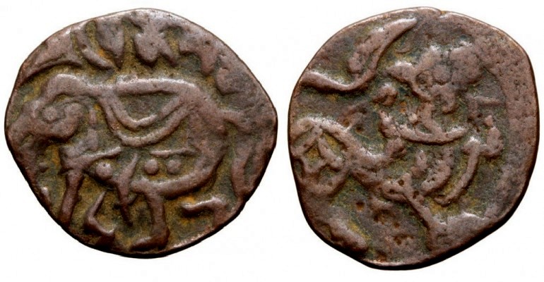 My-First-Animal-On-A-Coin.