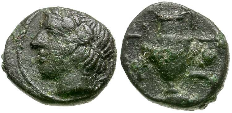 My-First-Animal-On-A-Coin.
