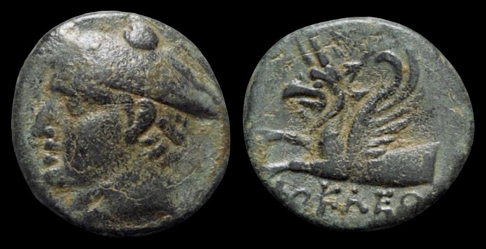 My-First-Animal-On-A-Coin.