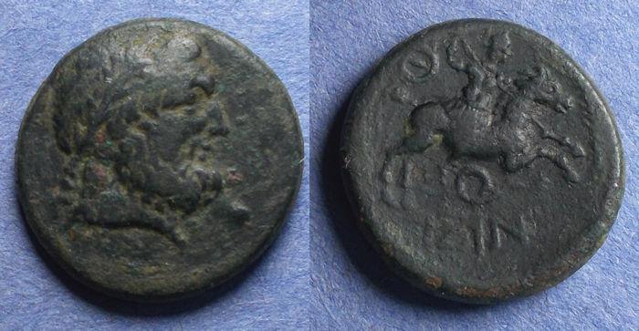 My-First-Animal-On-A-Coin.