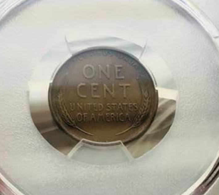 1909-S-VDB-Conserved-Using-Verdicare---Badthad?