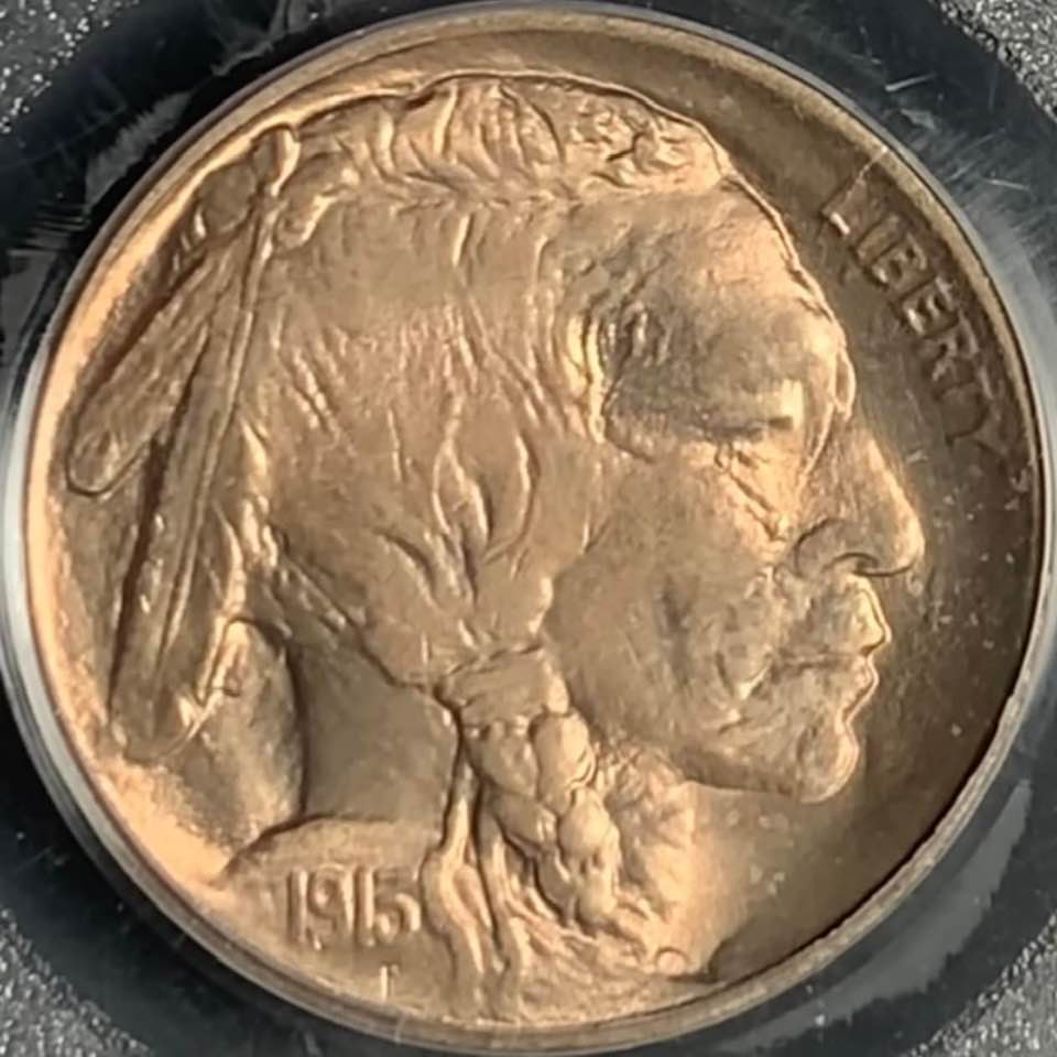 1913-Type-1-Buffalo-You-Vs-PCGS