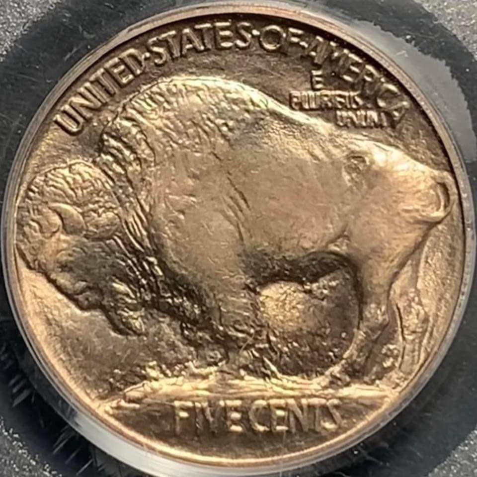 1913-Type-1-Buffalo-You-Vs-PCGS