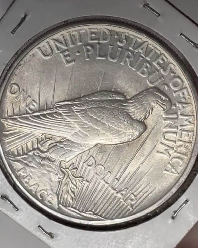 1921-Peace-Dollar---Grade-It