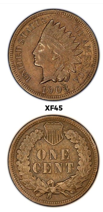 1895-Indian-Head-Cent-Grading