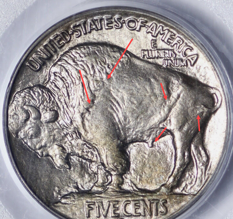 Well-Struck-Buffalos