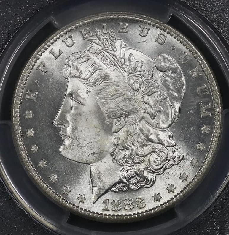 1883-Morgan-You-Vs-PCGS