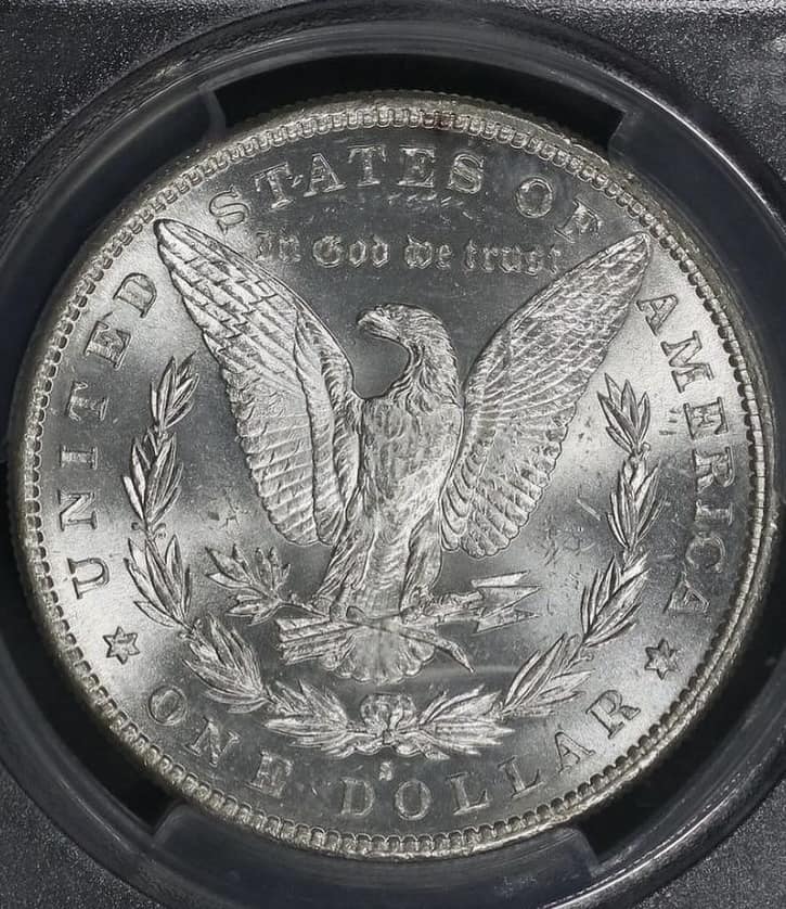 1883-Morgan-You-Vs-PCGS
