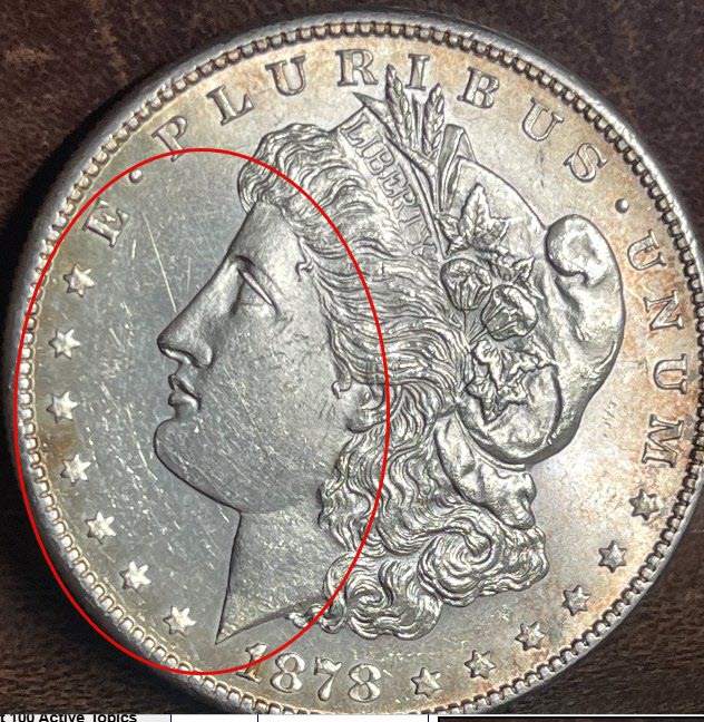 1878-S-Morgan-Grade-It!